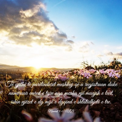 Picture 03 - Numrat 3:43 ALB - Të gjithë të parëlindurit meshkuj që u - Bible Verse Picture