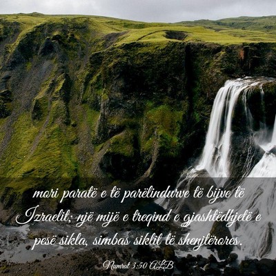 Picture 03 - Numrat 3:50 ALB - mori paratë e të parëlindurve të bijve të - Bible Verse Picture
