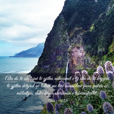 Picture 03 - Numrat 3:7 ALB - Ata do të zbatojnë të gjitha udhëzimet e tij - Bible Verse Picture