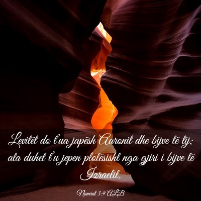 Picture 03 - Numrat 3:9 ALB - Levitët do t’ua japësh Aaronit dhe bijve të - Bible Verse Picture