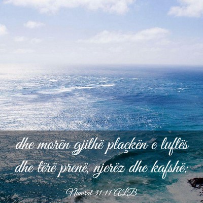 Picture 03 - Numrat 31:11 ALB - dhe morën gjithë plaçkën e luftës dhe tërë - Bible Verse Picture