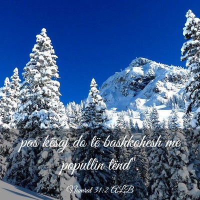 Picture 03 - Numrat 31:2 ALB - pas kësaj do të bashkohesh me popullin - Bible Verse Picture