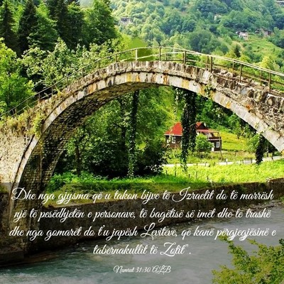 Picture 03 - Numrat 31:30 ALB - Dhe nga gjysma që u takon bijve të Izraelit do - Bible Verse Picture