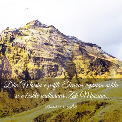 Picture 03 - Numrat 31:31 ALB - Dhe Moisiu e prifti Eleazar vepruan ashtu si e - Bible Verse Picture