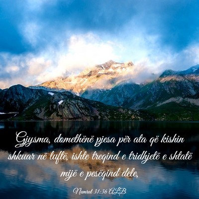 Picture 03 - Numrat 31:36 ALB - Gjysma, domethënë pjesa për ata që kishin - Bible Verse Picture
