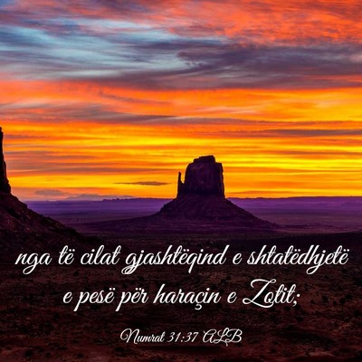 Picture 03 - Numrat 31:37 ALB - nga të cilat gjashtëqind e shtatëdhjetë e - Bible Verse Picture