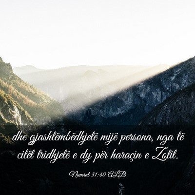 Picture 03 - Numrat 31:40 ALB - dhe gjashtëmbëdhjetë mijë persona, nga të - Bible Verse Picture