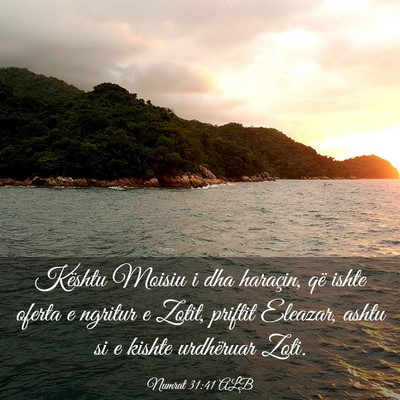 Picture 03 - Numrat 31:41 ALB - Kështu Moisiu i dha haraçin, që ishte oferta e - Bible Verse Picture