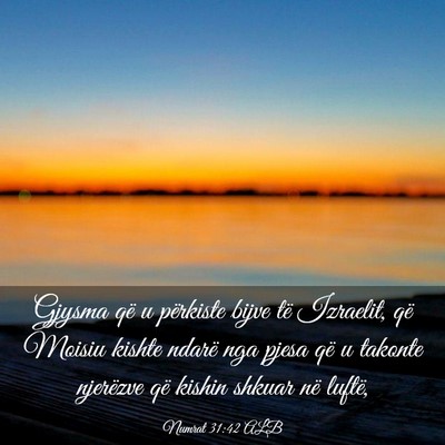 Picture 03 - Numrat 31:42 ALB - Gjysma që u përkiste bijve të Izraelit, që - Bible Verse Picture