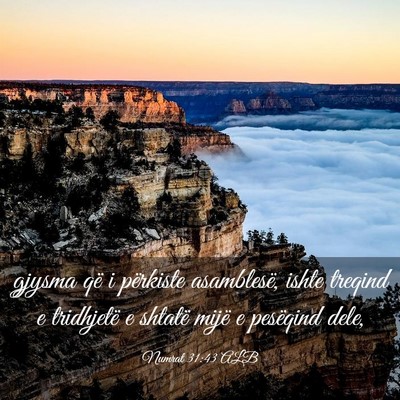 Picture 03 - Numrat 31:43 ALB - gjysma që i përkiste asamblesë, ishte treqind - Bible Verse Picture