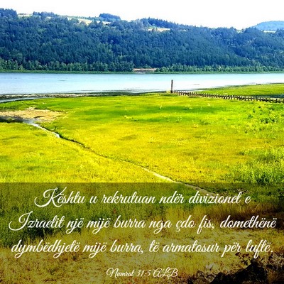 Picture 03 - Numrat 31:5 ALB - Kështu u rekrutuan ndër divizionet e Izraelit - Bible Verse Picture