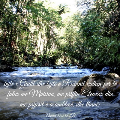 Picture 03 - Numrat 32:2 ALB - bijtë e Gadit dhe bijtë e Rubenit erdhën për - Bible Verse Picture