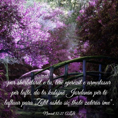 Picture 03 - Numrat 32:27 ALB - por shërbëtorët e tu, tërë njerëzit e - Bible Verse Picture
