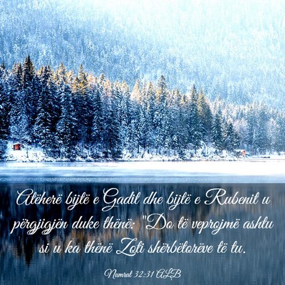 Picture 03 - Numrat 32:31 ALB - Atëherë bijtë e Gadit dhe bijtë e Rubenit u - Bible Verse Picture