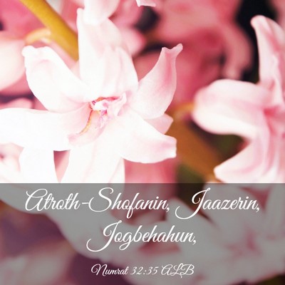 Picture 03 - Numrat 32:35 ALB - Atroth-Shofanin, Jaazerin, - Bible Verse Picture