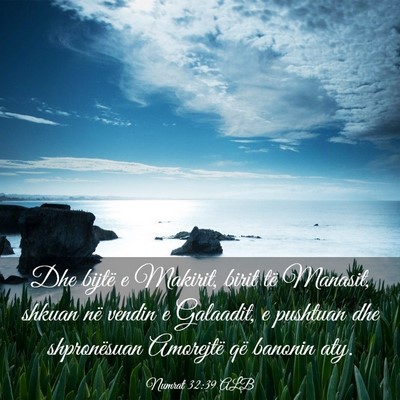Picture 03 - Numrat 32:39 ALB - Dhe bijtë e Makirit, birit të Manasit, shkuan - Bible Verse Picture