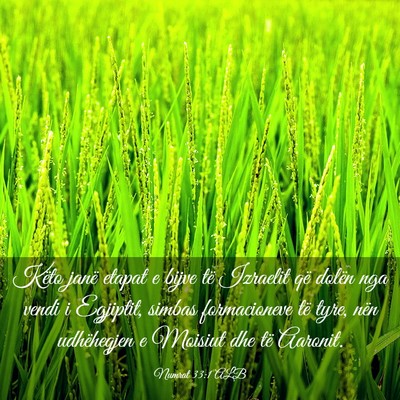 Picture 03 - Numrat 33:1 ALB - Këto janë etapat e bijve të Izraelit që - Bible Verse Picture