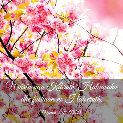 Picture 03 - Numrat 33:17 ALB - U nisën nga Kibroth-Hataavahu dhe fushuan në - Bible Verse Picture