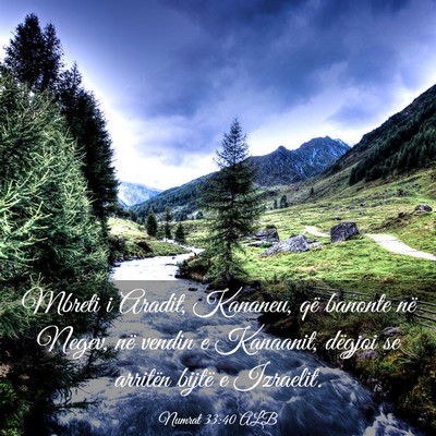 Picture 03 - Numrat 33:40 ALB - Mbreti i Aradit, Kananeu, që banonte në Negev, - Bible Verse Picture