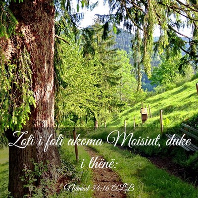 Picture 03 - Numrat 34:16 ALB - Zoti i foli akoma Moisiut, duke i - Bible Verse Picture
