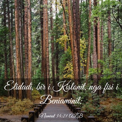 Picture 03 - Numrat 34:21 ALB - Elidadi, bir i Kislonit, nga fisi i - Bible Verse Picture