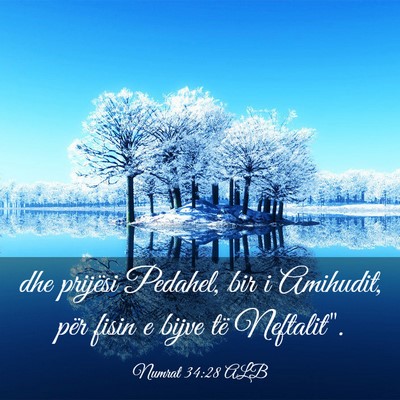 Picture 03 - Numrat 34:28 ALB - dhe prijësi Pedahel, bir i Amihudit, për fisin - Bible Verse Picture
