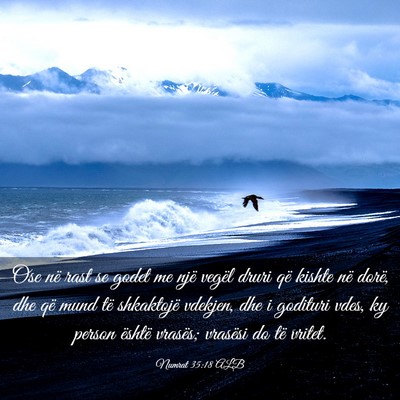 Picture 03 - Numrat 35:18 ALB - Ose në rast se godet me një vegël druri që - Bible Verse Picture