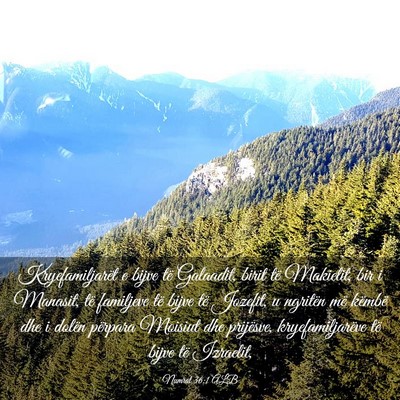 Picture 03 - Numrat 36:1 ALB - Kryefamiljarët e bijve të Galaadit, birit të - Bible Verse Picture