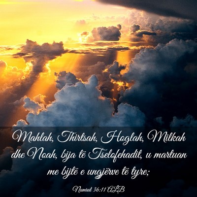 Picture 03 - Numrat 36:11 ALB - Mahlah, Thirtsah, Hoglah, Milkah dhe Noah, bija - Bible Verse Picture