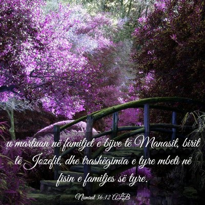 Picture 03 - Numrat 36:12 ALB - u martuan në familjet e bijve të Manasit, birit - Bible Verse Picture