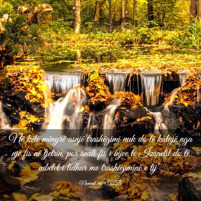 Picture 03 - Numrat 36:9 ALB - Në këtë mënyrë asnjë trashëgimi nuk do të - Bible Verse Picture
