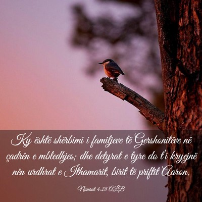 Picture 03 - Numrat 4:28 ALB - Ky është shërbimi i familjeve të - Bible Verse Picture