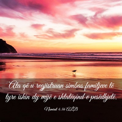 Picture 03 - Numrat 4:36 ALB - Ata që u regjistruan simbas familjeve të tyre - Bible Verse Picture