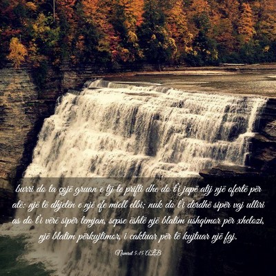 Picture 03 - Numrat 5:15 ALB - burri do ta çojë gruan e tij te prifti dhe do - Bible Verse Picture