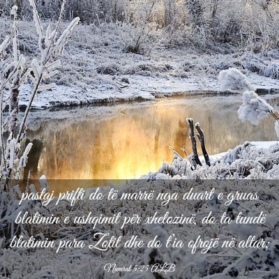 Picture 03 - Numrat 5:25 ALB - pastaj prifti do të marrë nga duart e gruas - Bible Verse Picture