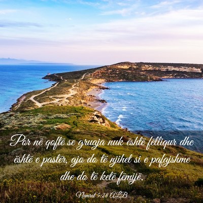 Picture 03 - Numrat 5:28 ALB - Por në qoftë se gruaja nuk është fëlliqur - Bible Verse Picture