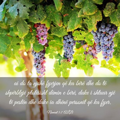 Picture 03 - Numrat 5:7 ALB - ai do ta njohë fyerjen që ka bërë dhe do të - Bible Verse Picture