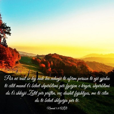 Picture 03 - Numrat 5:8 ALB - Por në rast se ky nuk ka ndonjë të afërm - Bible Verse Picture
