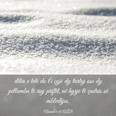 Picture 03 - Numrat 6:10 ALB - ditën e tetë do t’i çojë dy turtuj ose dy - Bible Verse Picture