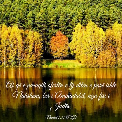 Picture 03 - Numrat 7:12 ALB - Ai që e paraqiti ofertën e tij ditën e parë - Bible Verse Picture