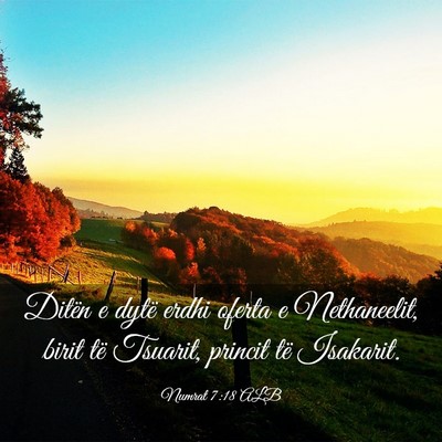 Picture 03 - Numrat 7:18 ALB - Ditën e dytë erdhi oferta e Nethaneelit, birit - Bible Verse Picture