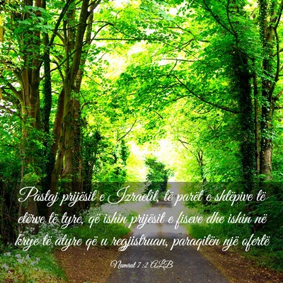 Picture 03 - Numrat 7:2 ALB - Pastaj prijësit e Izraelit, të parët e - Bible Verse Picture