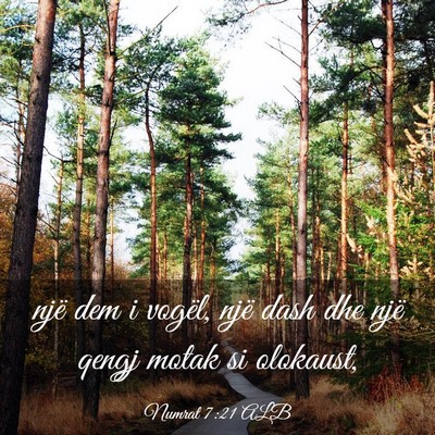 Picture 03 - Numrat 7:21 ALB - një dem i vogël, një dash dhe një qengj motak - Bible Verse Picture