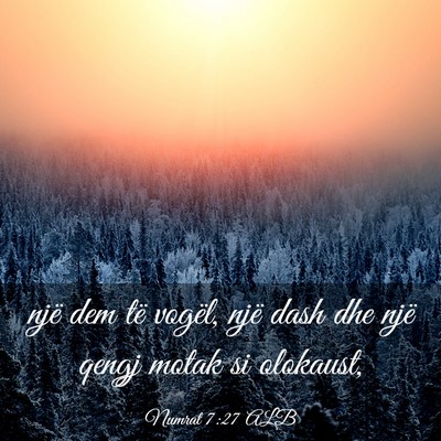 Picture 03 - Numrat 7:27 ALB - një dem të vogël, një dash dhe një qengj - Bible Verse Picture