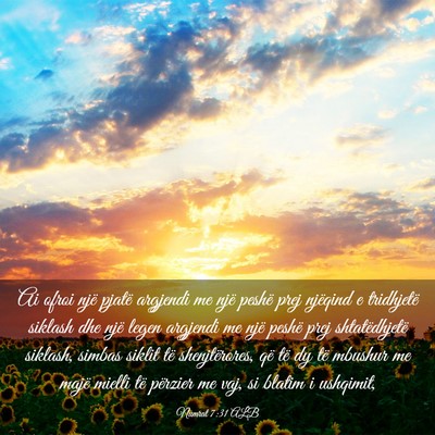 Picture 03 - Numrat 7:31 ALB - Ai ofroi një pjatë argjendi me një peshë prej - Bible Verse Picture