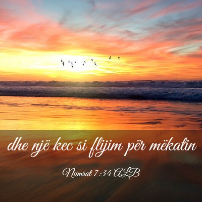 Picture 03 - Numrat 7:34 ALB - dhe një kec si flijim për - Bible Verse Picture
