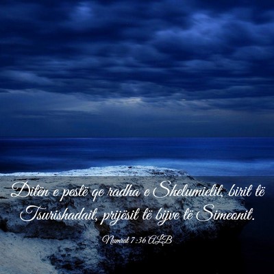 Picture 03 - Numrat 7:36 ALB - Ditën e pestë qe radha e Shelumielit, birit të - Bible Verse Picture
