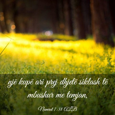 Picture 03 - Numrat 7:38 ALB - një kupë ari prej dhjetë siklash të mbushur - Bible Verse Picture