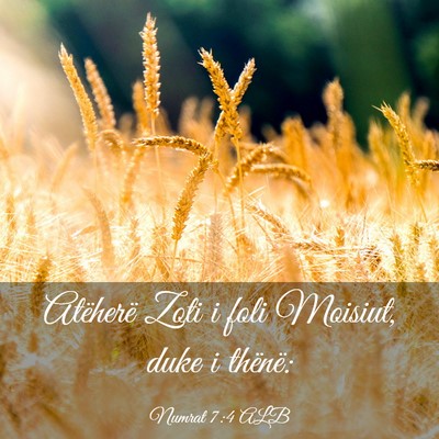 Picture 03 - Numrat 7:4 ALB - Atëherë Zoti i foli Moisiut, duke i - Bible Verse Picture