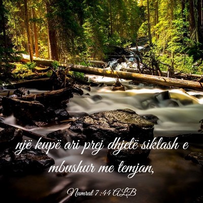 Picture 03 - Numrat 7:44 ALB - një kupë ari prej dhjetë siklash e mbushur me - Bible Verse Picture
